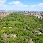 Las ciudades de países desarrollados cuentan con alrededor de un 20% de zonas verdes, en las urbes de países en vías de desarrollo los árboles no cubren mas allá del 5%
