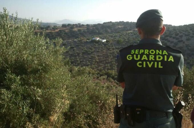 Agente del Seprona