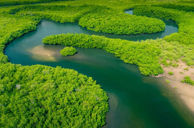 El Amazonas es el río más largo y caudaloso del mundo, con un caudal mayor que el Nilo y el Yangtsé juntos. Atraviesa hasta nueve países y está en el pulmón del planeta