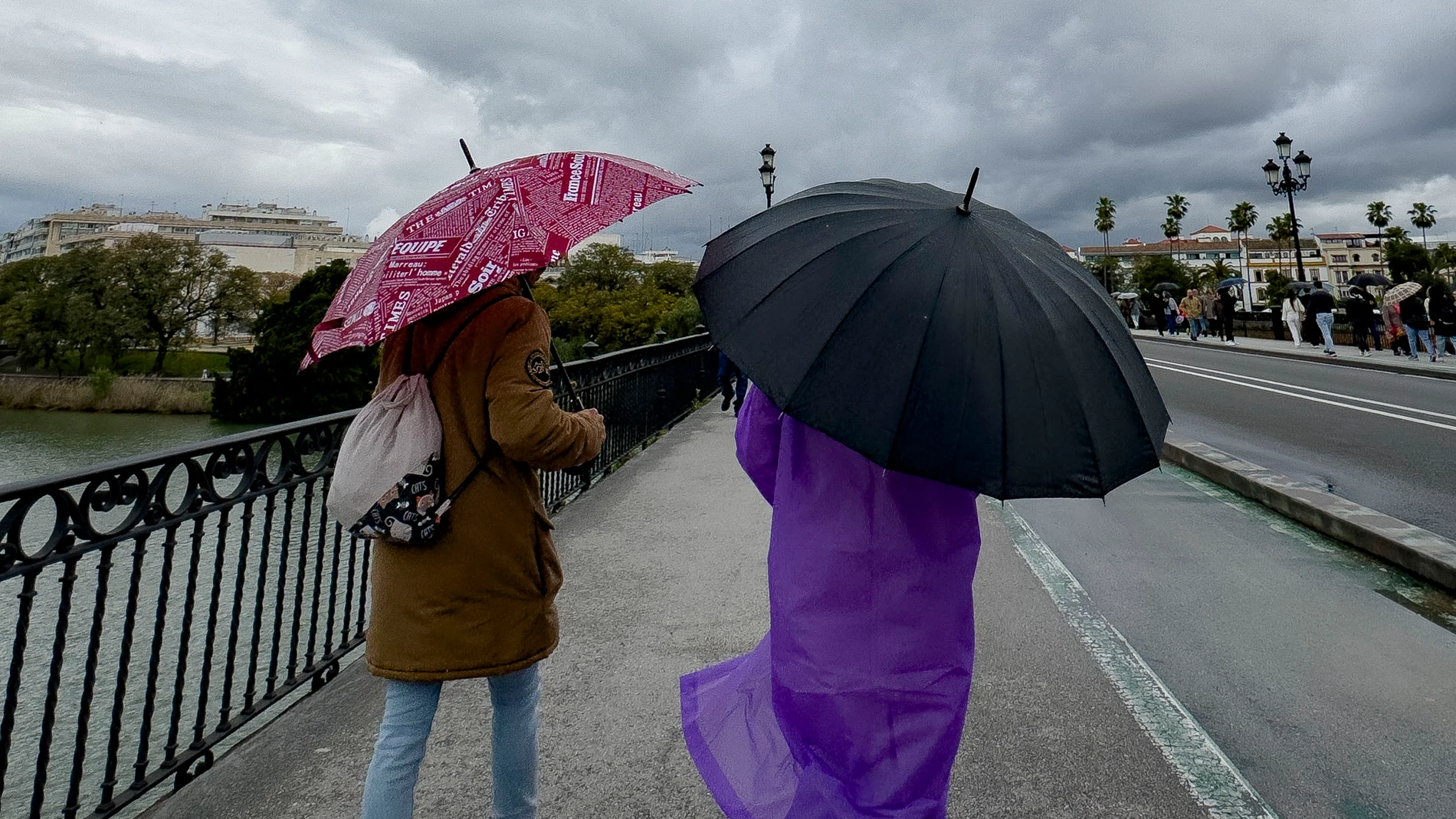 SEEILLA, 23/03/2025.- Tras un mes de lluvias en Sevilla, los sevillanos viven con alegría el que anuncian será el último día de lluvia y que llevará a una semana donde los cielos despejados y la subida de temperaturas serán la dinámica. EFE/David Arjona