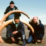 El mamut lleva extinto desde hace 10.000 años