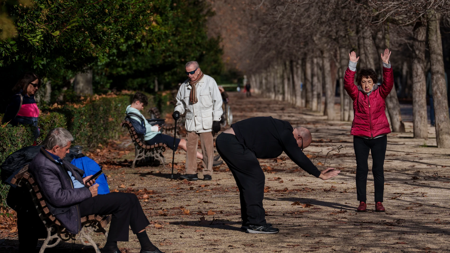 Un grupo de jubilados hace ejercicio en el madrileño parque del Retiro