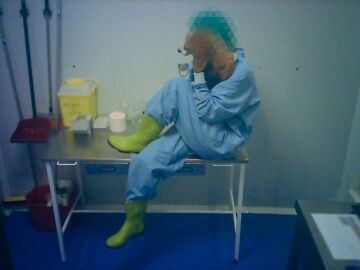 La experimentación con animales y su lado más oscuro