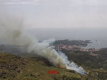Un incendio forestal arde a las afueras de Cadaqués